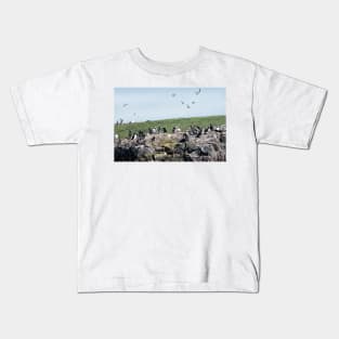 Puffins colony on the Farne islands, Northumberland, UK Kids T-Shirt